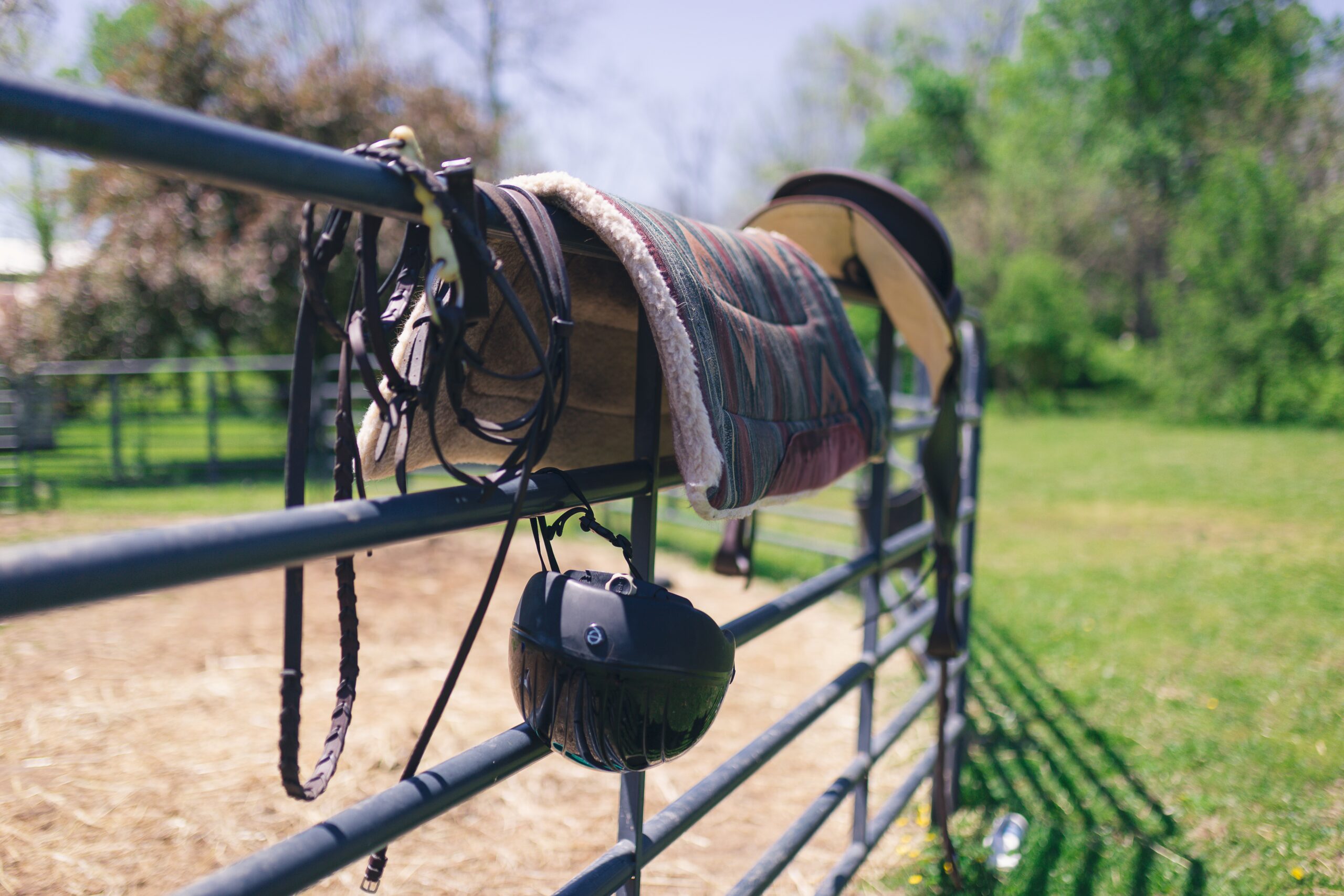 Trening konia i jeźdźca