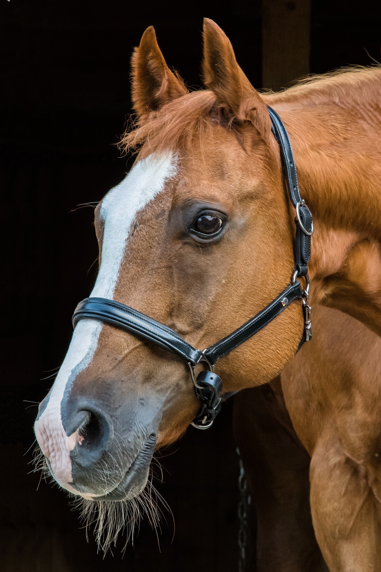 Pielęgnacja i Relaks
